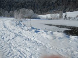 Langlaufen in Reit im Winkl