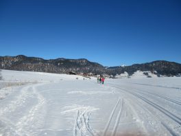 Langlaufen in Reit im Winkl