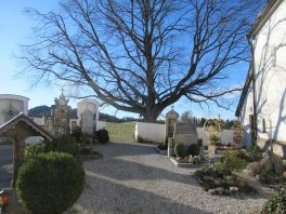 Wanderung von Steinkirchen zur Dandlbergalm