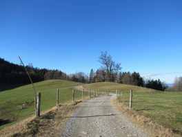 Wanderung von Steinkirchen zur Dandlbergalm