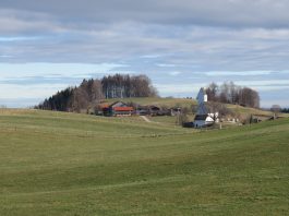 Wanderung von Steinkirchen zur Dandlbergalm