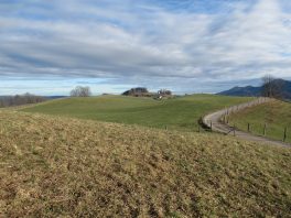 Wanderung von Steinkirchen zur Dandlbergalm
