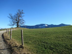 Wanderung von Steinkirchen zur Dandlbergalm