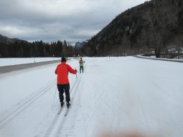 Langlaufbericht Sachrang