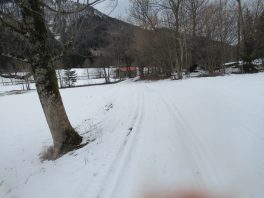 Langlaufbericht Sachrang