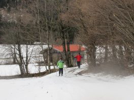 Langlaufbericht Sachrang