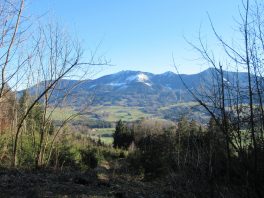 Wanderung von Steinkirchen zur Dandlbergalm