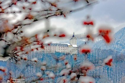 kl-Duftender Frühling im Winter 2020_Foto H. Reiter