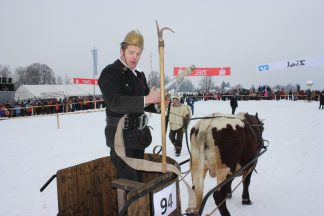 wiwa_ochsenrennen02