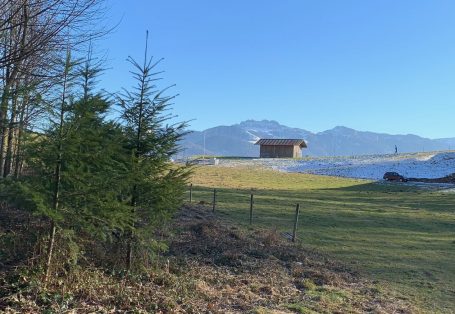 1Winter Brandenberg 3