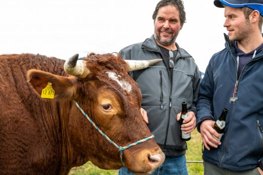 Ochsenrennen-Wildenwart-1020283