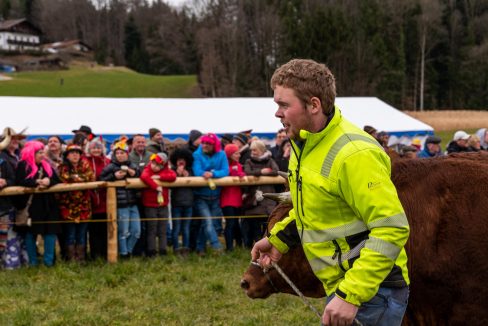 Ochsenrennen-Wildenwart-1020439