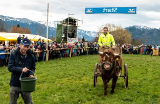 Ochsenrennen-Wildenwart-1020548