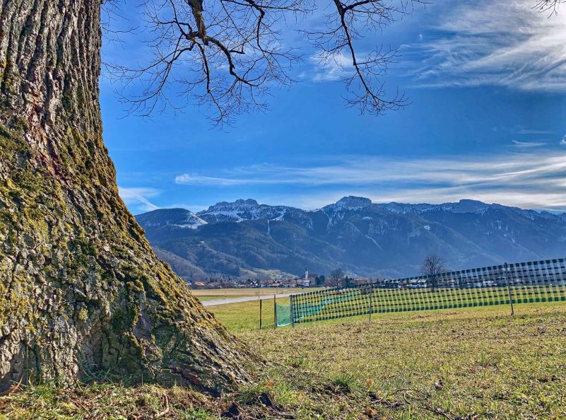 kl-Fest verankert3_Foto H. Reiter