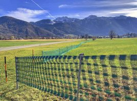 kl-Fest verankert_Foto H. Reiter