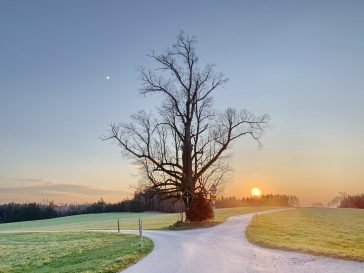 1Sonnenuntergang Stetten 2