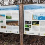 im Chiemseepark Felden