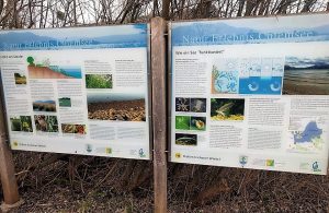 im Chiemseepark Felden