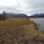 im Chiemseepark Felden