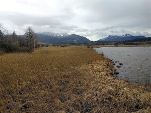 im Chiemseepark Felden