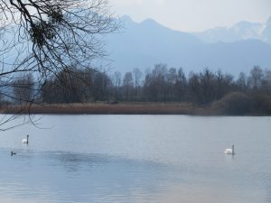 Impressionen vom Chiemsee