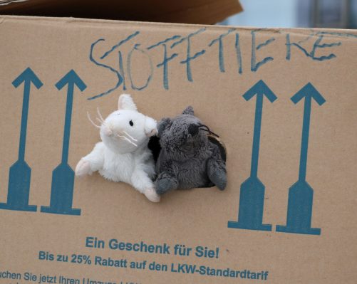 aschau kikli bettentransport00