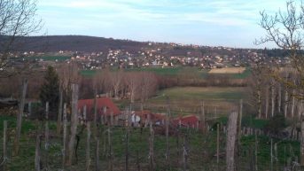 kl-59281c11-f1d4-44ff-b7d5-be5d47754d5d