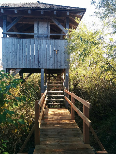 Tiroler Achen - Kendlmühlfilz - Runde