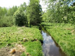 Tiroler Achen - Kendlmühlfilz - Runde