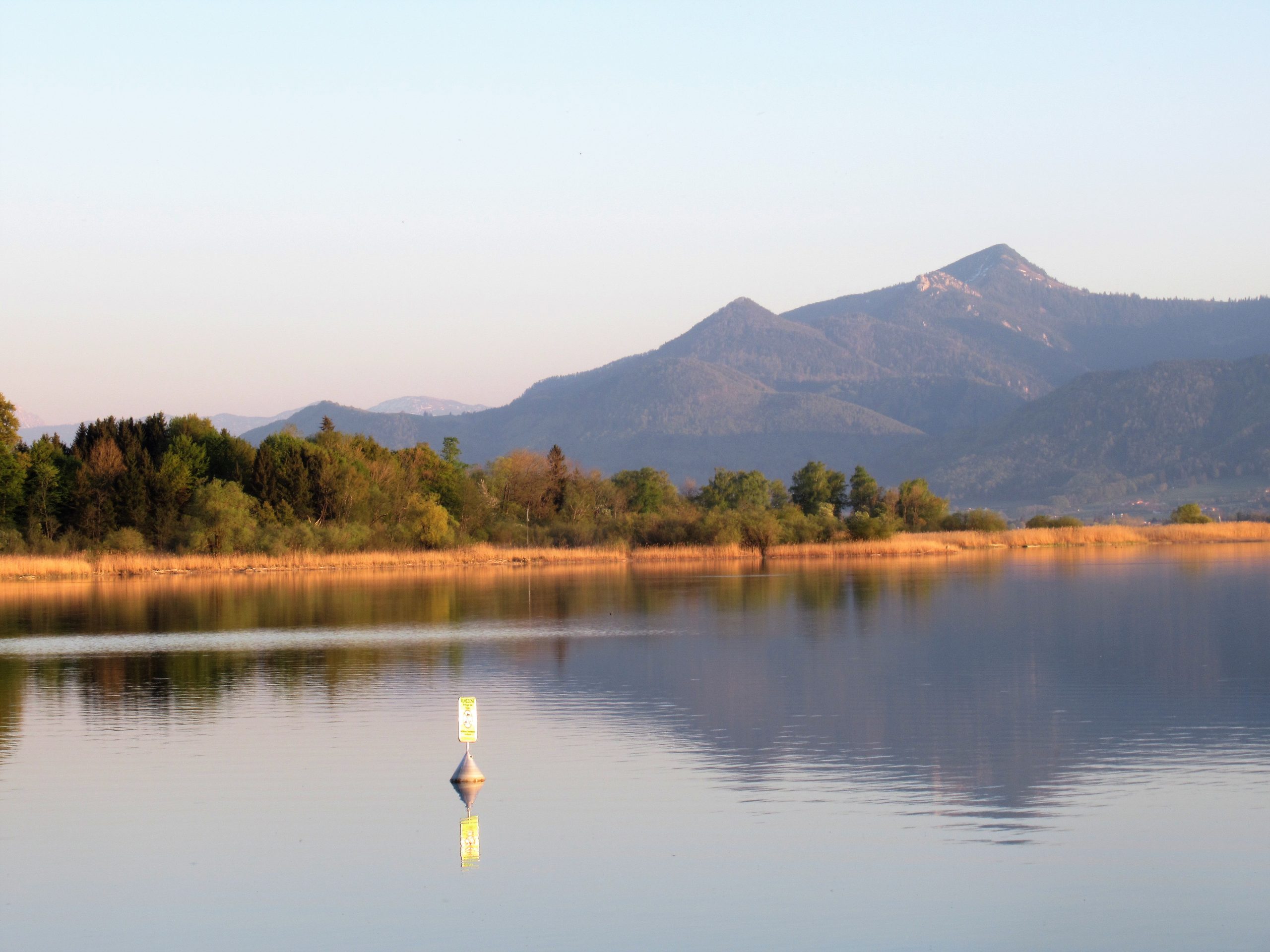 Geheimnisvolle Halbinsel im Chiemsee Sassau Samerberger Nachrichten