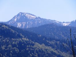 Tiroler Achen - Kendlmühlfilz - Runde