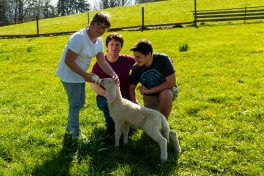 Antonia gibt dem Lämmchen die Flasche, dahinter die Mutter Jana Huber mit Sohn Max