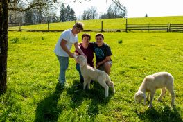 Antonia gibt dem Lämmchen die Flasche, dahinter die Mutter Jana Huber mit Sohn Max und die Lämmer Die Lämmer "Seppe" und "Kathe"