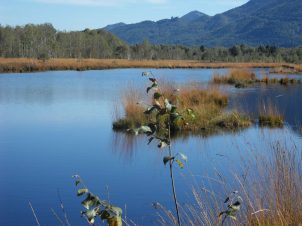 Tiroler Achen - Kendlmühlfilz - Runde