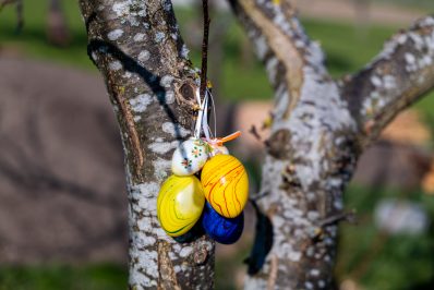 Osterschmuck-1050789