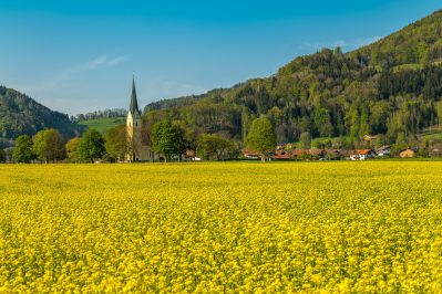 Rapsblüte Kirche St. Leonhard in Nußdorf am Inn - RN