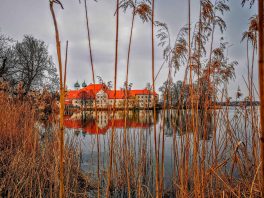 kl-IMG_20200329_165716~2