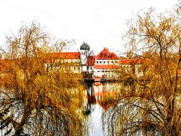 kl-IMG_20200329_173248~2