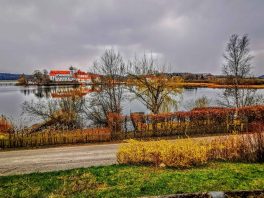 kl-IMG_20200329_173524~2