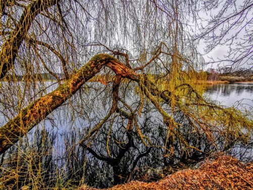 kl-IMG_20200329_180136~2