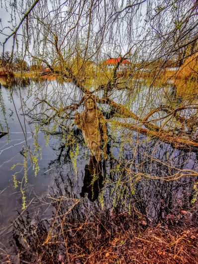 kl-IMG_20200329_180624~2