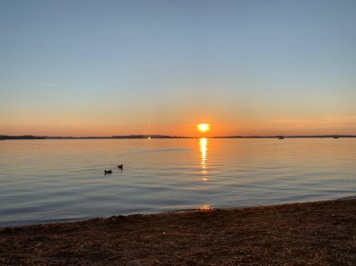 1d0bf15c-5eba-45a4-a5ea-9e2ac068e516