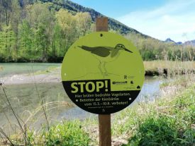 2020_05_20_Kiesbrueter-3