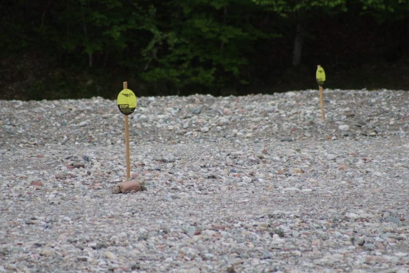 2020_05_20_Kiesbrueter-4