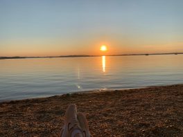 31163f72-5570-4a5d-86a5-1348cdfd47d4