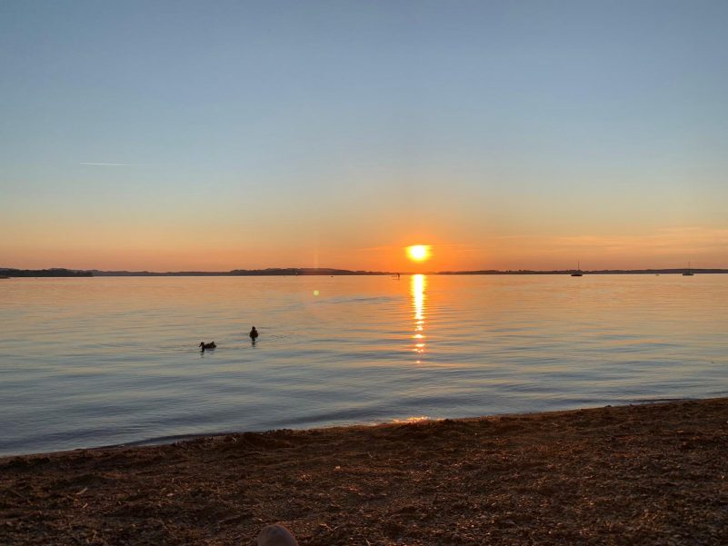 895afd73-3246-49ff-ad6a-8b7bfc906b4b