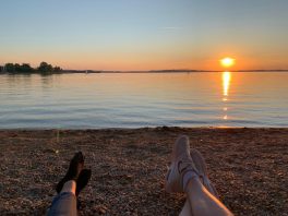 924d646c-930a-46d5-a530-d25cfc1e6831