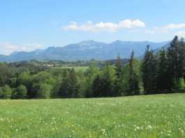 Kapellenweg Söllhuben