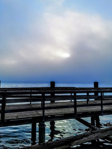 IMG_20200516_065631~2