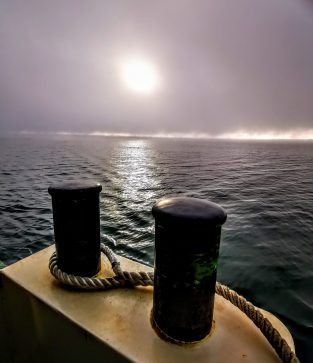 IMG_20200516_070346~2